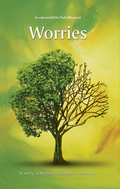 Picture of Worries