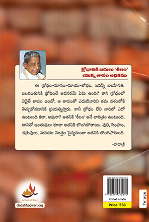 offensive message meaning in telugu