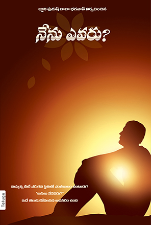 Picture of Who Am I ? (Free Shipping within India only)Telugu