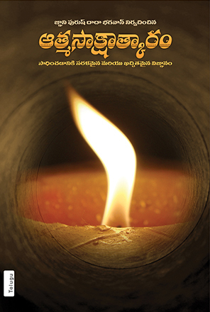 Picture of Self Realization  Telugu